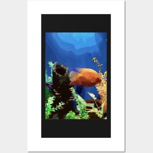 Goldfish Posters and Art